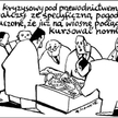 Komentarz rysunkowy