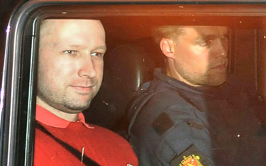 Anders Breivik narzeka na warunki. Apelacja odrzucona