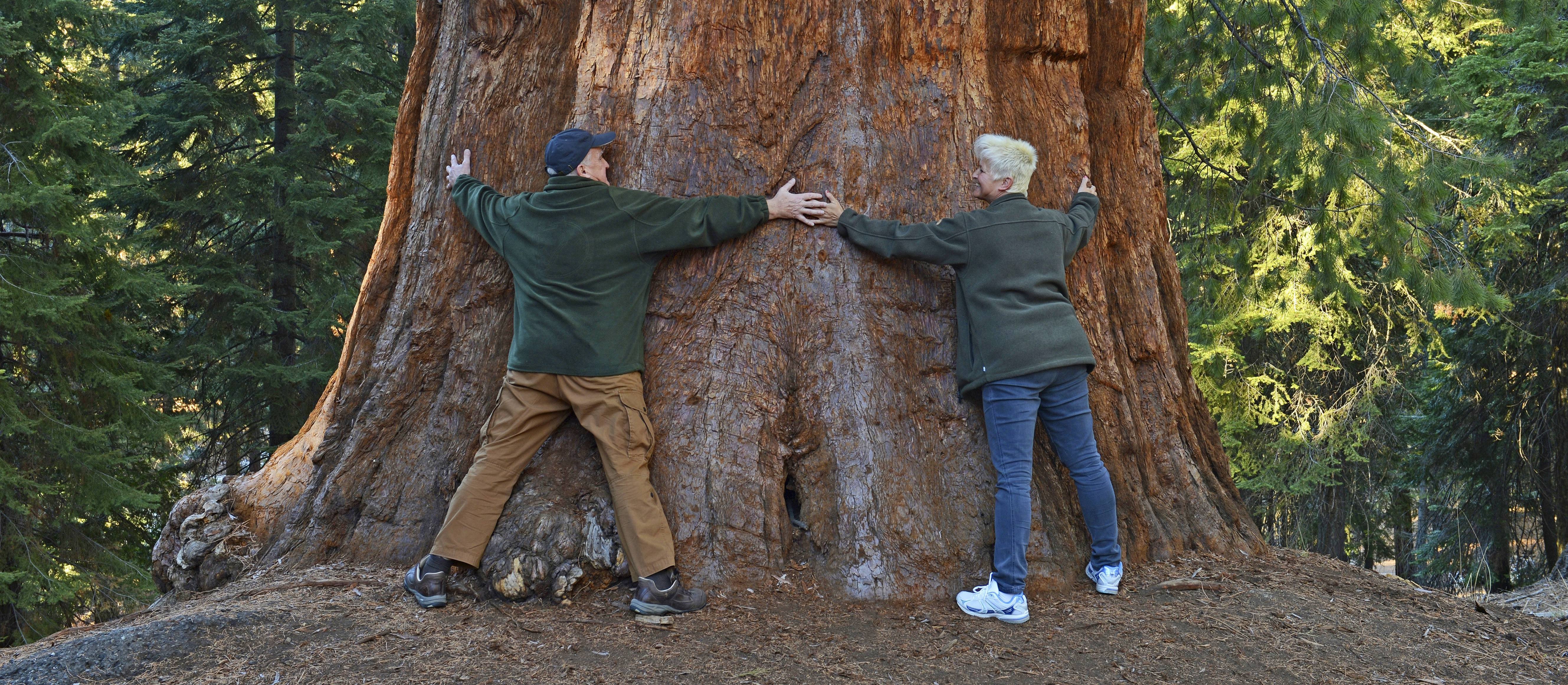 Turyści zagraniczni zapłacą w USA dodatkowo 100 dolarów. „Sprawiedliwy wkład”