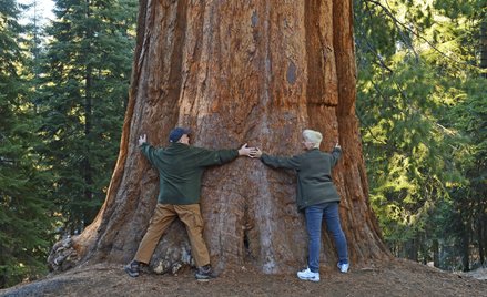 Turyści zagraniczni zapłacą w USA dodatkowo 100 dolarów. „Sprawiedliwy wkład”