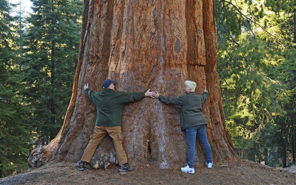 Turyści zagraniczni zapłacą w USA dodatkowo 100 dolarów. „Sprawiedliwy wkład”