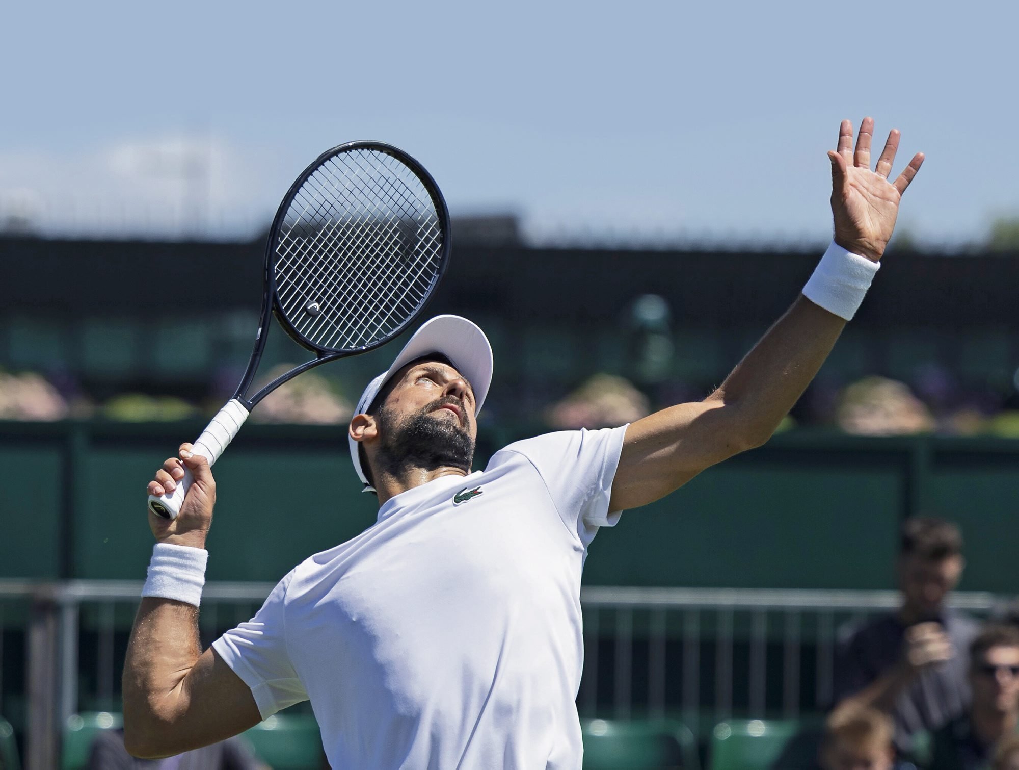 Novak Djoković. Opowieść o zwyczajnym szaleństwie