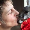 Kangurzyca Tosia sylwestra spędziła z opiekunką, panią Beatą Czechowską, w domu