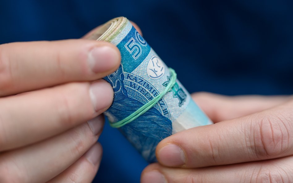 BIK: firmy pożyczkowe w styczniu udzieliły tzw. "chwilówek" na 1,053 mld zł