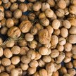 W najbliższym czasie Bakalland będzie się rozwijał przede wszystkim organicznie