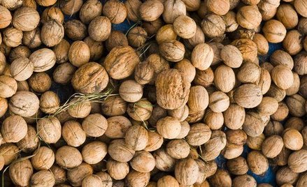 W najbliższym czasie Bakalland będzie się rozwijał przede wszystkim organicznie