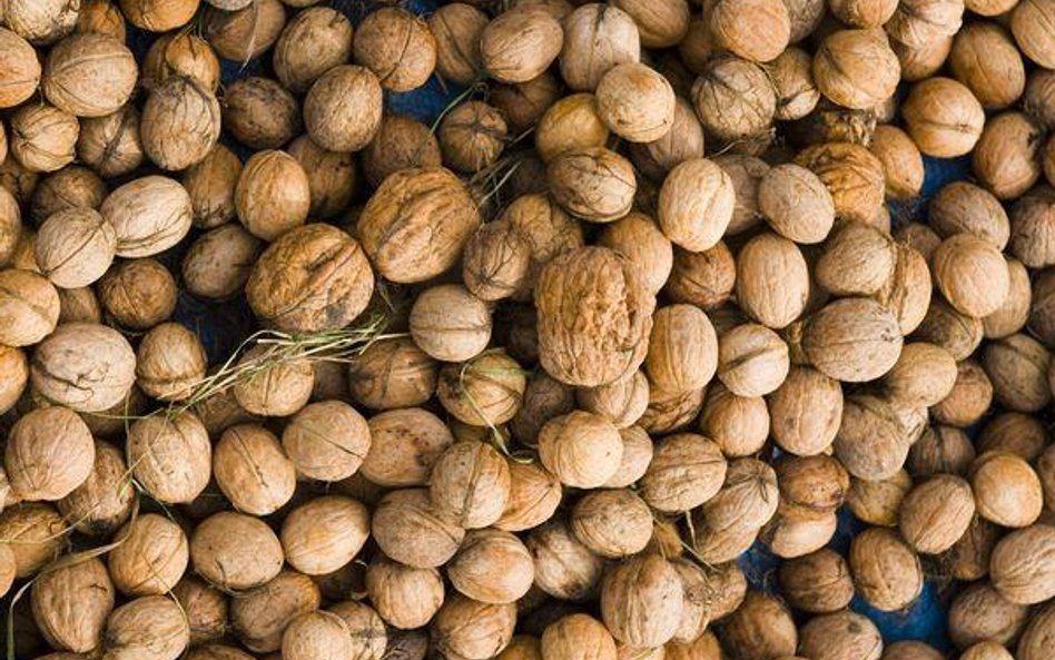 W najbliższym czasie Bakalland będzie się rozwijał przede wszystkim organicznie