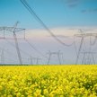 Operator powinien mieć rezerwy na wypadek, gdyby z systemu wypadła elektrownia czy linia elektryczna