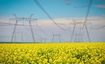 Operator powinien mieć rezerwy na wypadek, gdyby z systemu wypadła elektrownia czy linia elektryczna