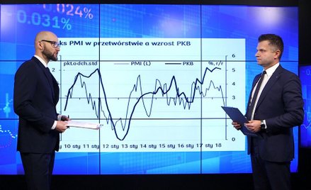 Polska najbardziej zrównoważoną gospodarką regionu