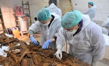 Identyfikacja kości być może będzie możliwa na podstawie badań DNA.