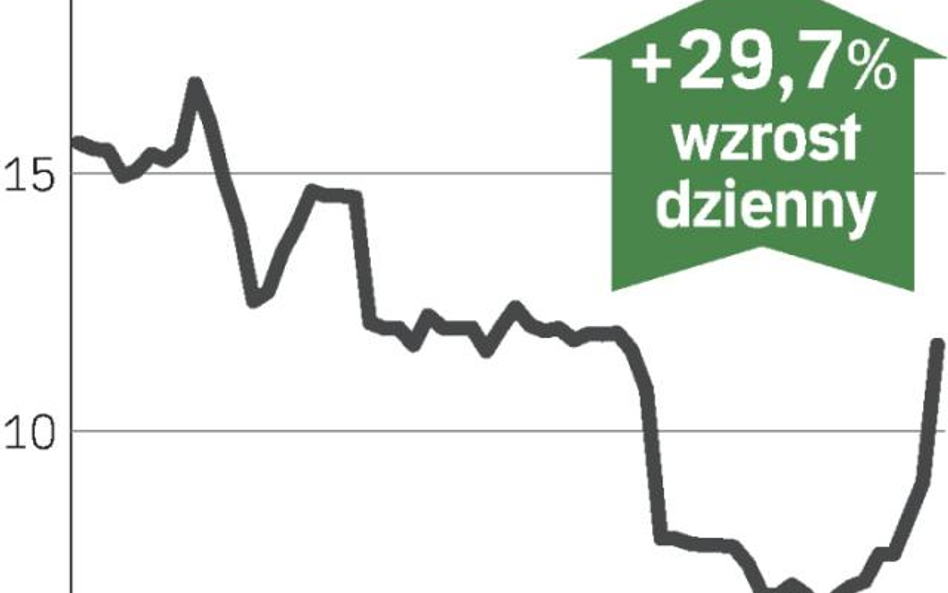 Zwyżka przed lutowym walnym