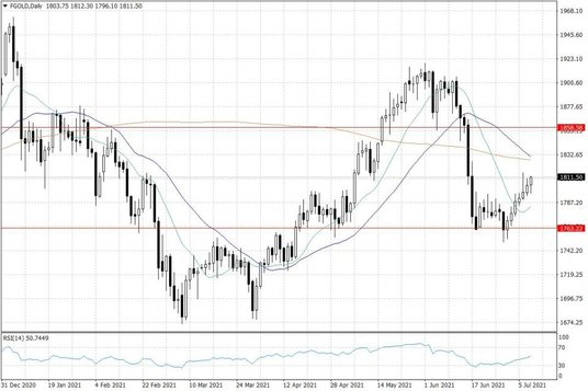 Notowania złota – dane dzienne