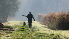 Do Sejmu trafił projekt zakazu polowań dla bogatych turystów