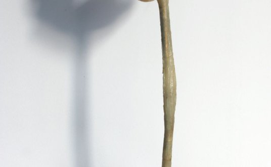 "kompas sztuki 2020"