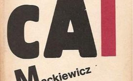 Cat nie miał wyboru
