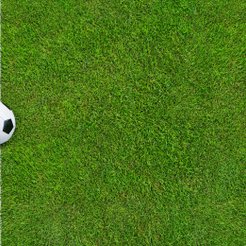 Gdy teologia musi ustąpić rozgrywkom ligowym - sprawa meczu Jagiellonii Białystok