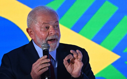 Prezydent Luiz Inacio Lula da Silva ochronę Amazonii uczynił głównym celem swojej prezydentury.