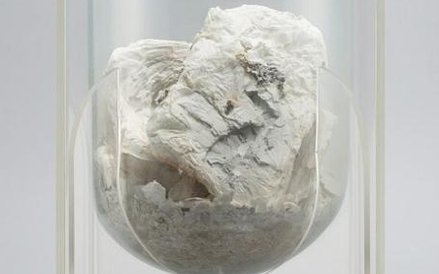 Urna z popiołami rękopisów spalonych przez Niemców