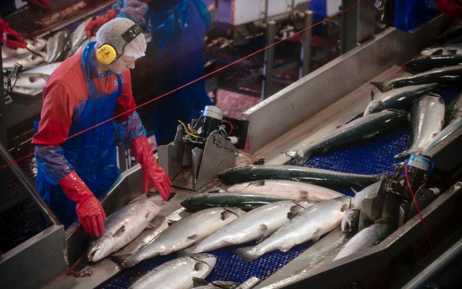 Norweski łosoś ratuje norweskie PKB