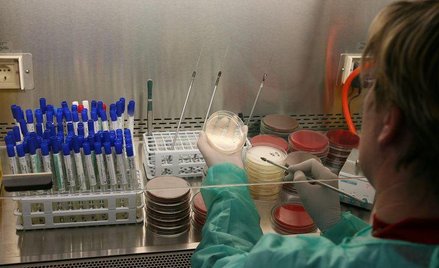 Badanie próbek w laboratorium