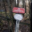 Sejmowa burza w Lasach Państwowych