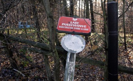 Rząd sięga po pieniądze Lasów Państwowych