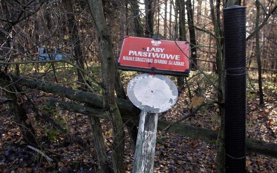 Rząd sięga po pieniądze Lasów Państwowych