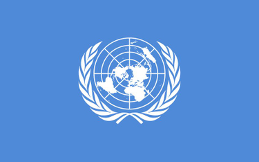 System zamówień publicznych ONZ
