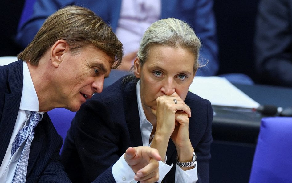 Bernd Baumann i Alice Weidel