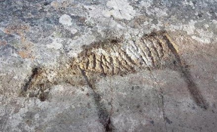 Ryty naskalne porastał mech