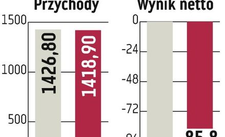 Widmo upadłości sprawiło, że kurs Bomi zanurkował