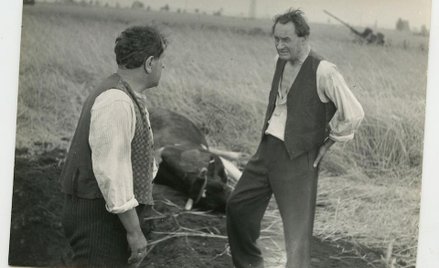 Za kulisami "Samych swoich"
