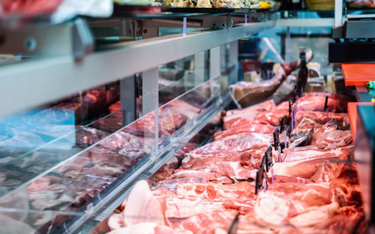 ASF w Niemczech może zatrząść cenami mięsa