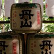 Sake popularne jak wino? Z Europy do Polski idzie nowy trend