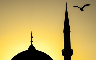 Helsinki obawiają się muzułmańskiego centrum