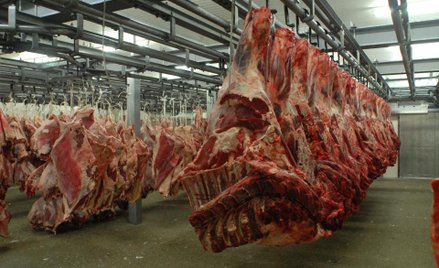 Polska może już eksportować mięso do Egiptu