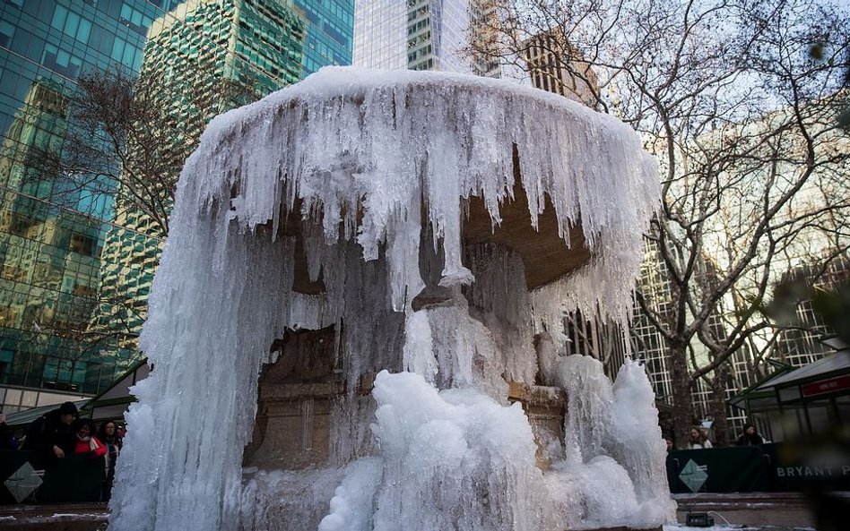 Zamarznięta fontanna w Bryant Park w Nowym Jorku