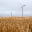 Nowy wicedyrektor departamentu energetyki