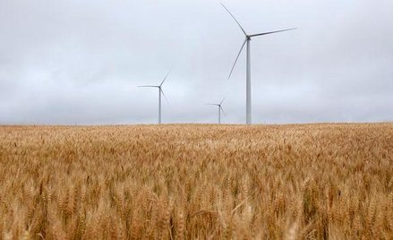 Nowy wicedyrektor departamentu energetyki