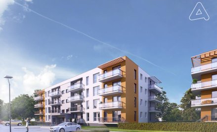 Rosną Słoneczne Stabłowice