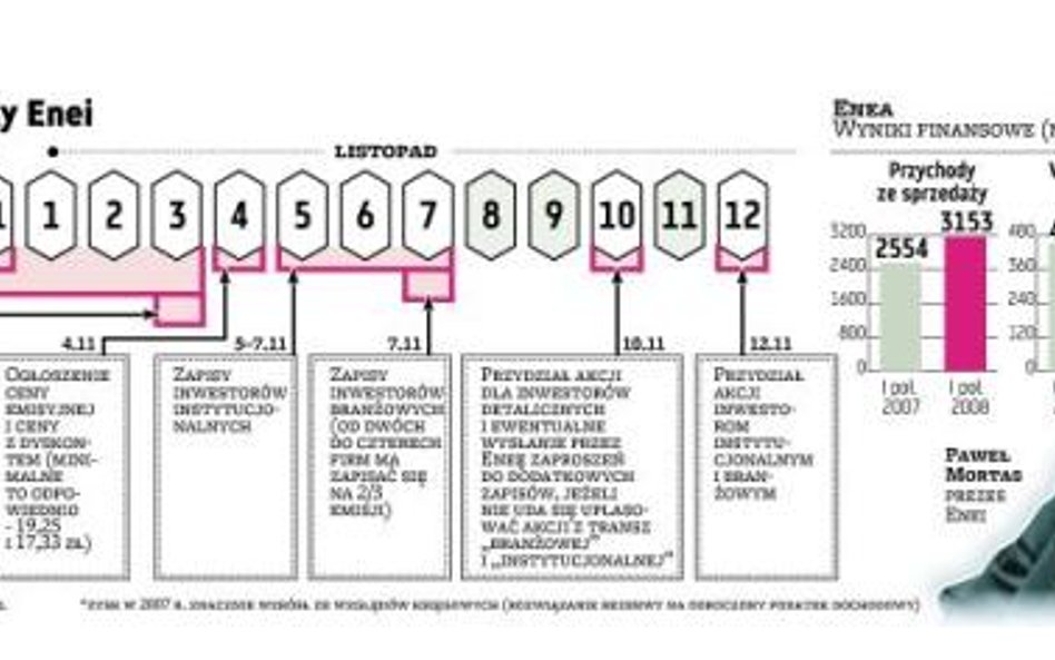 EBOiR, finansowi i mali gracze taniej kupią Eneę