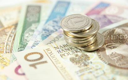 Akcjonariusze Eurocash zdecydowali o wypłacie 0,48 zł dywidendy na akcję