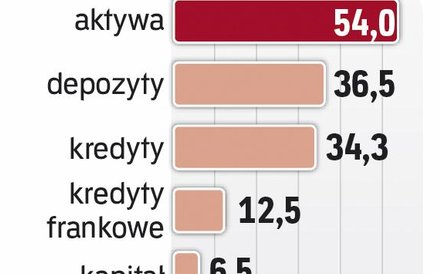 Franki obciążają bank