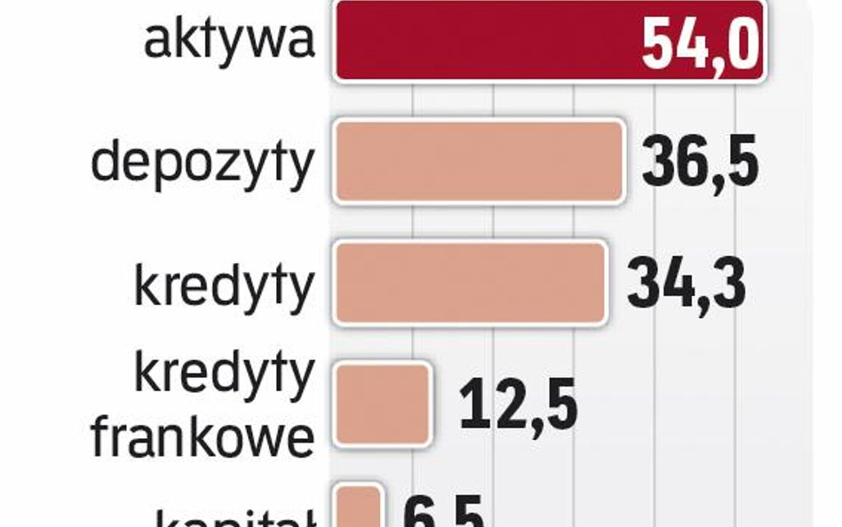 Franki obciążają bank