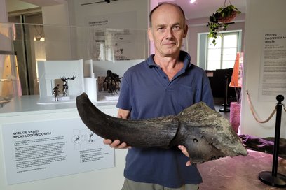 Róg prehistorycznego żubra stepowego - drugi tego typu artefakt wydobyty z dna Wisły w ostatnich dni