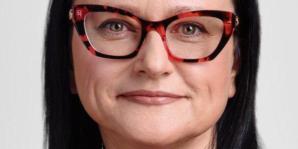 Искусственный интеллект изменяет результаты проверки, но не снимает ответственности