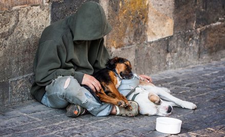 Szwedzkie miasto chce "licencji" na żebranie