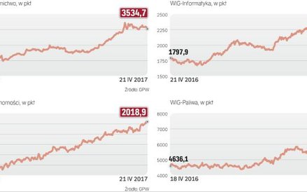Indeksy branżowe na naszym parkiecie od początku roku pięły się w górę