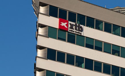 XTB pokazuje świetne wyniki